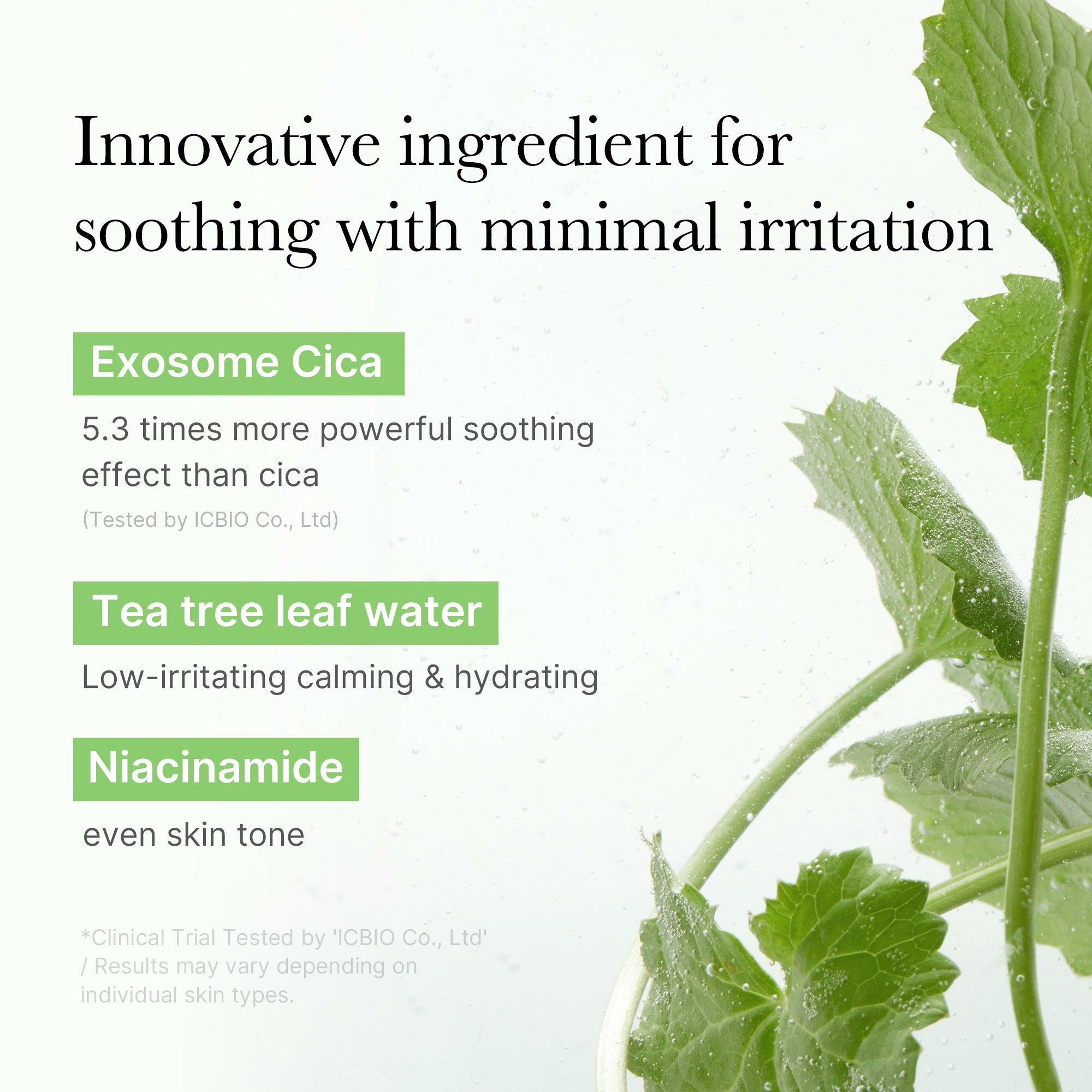 Exosome Cica Calming Toner Pads - Refresh Fresh
