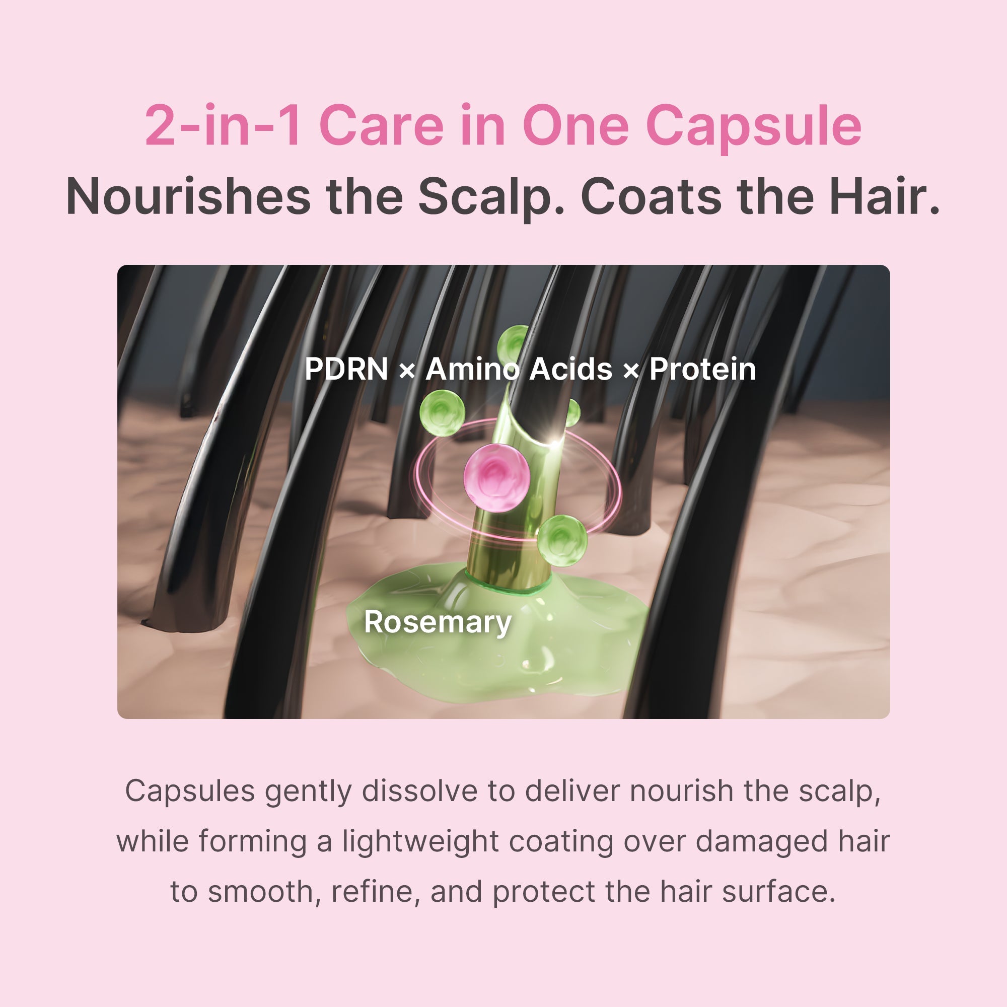Rosemary PDRN Hair & Scalp Conditioner - Stylish Daily Care